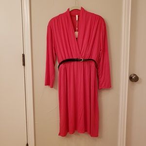 NWT Fuchsia 3/4 Sleeve Maternity/Nursing Dress
